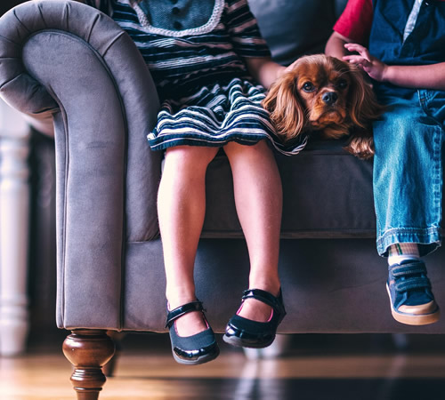 Youth mission and vision